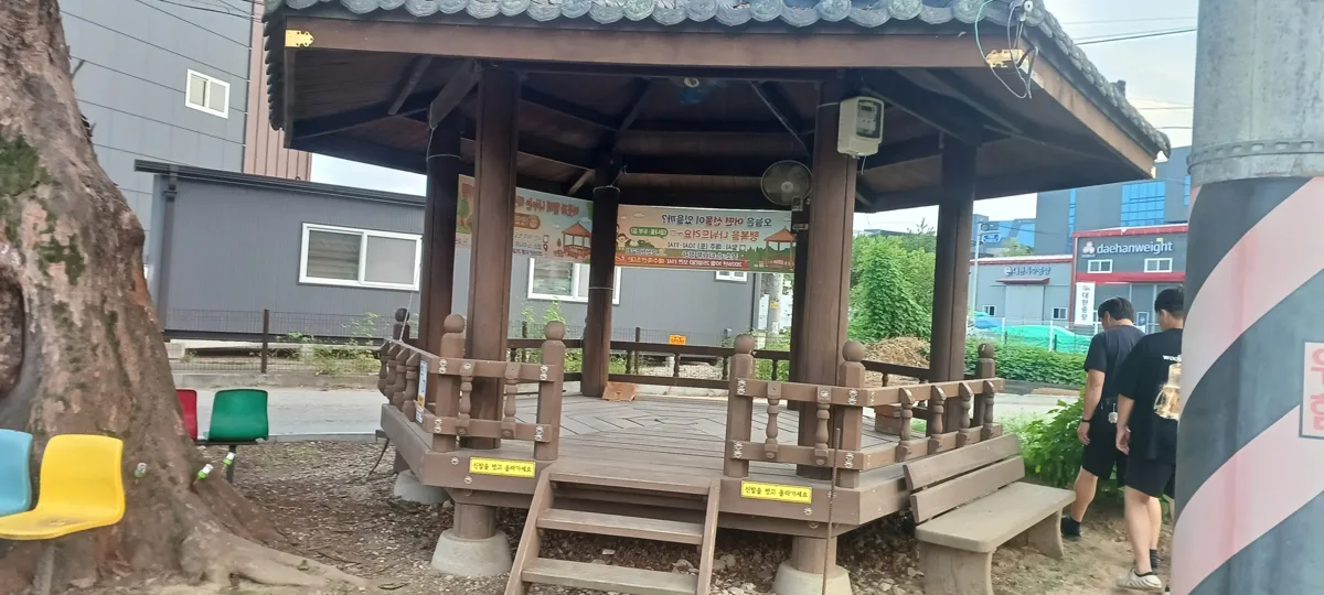 파고라 보수 후 정자 전경